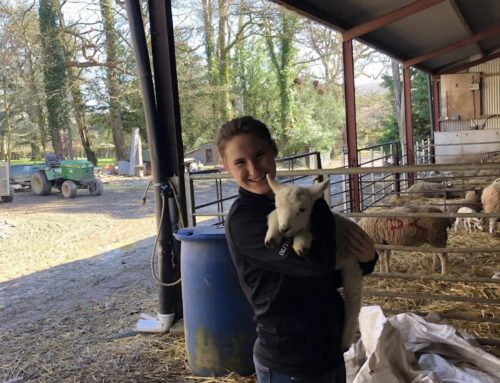 A Productive Gap Year Isn’t a “Year Off”; It’s a “Year On.” How I Felt Invigorated Going into Undergrad After My Gap Year