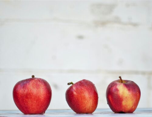 Where Does School Lunch Come From?